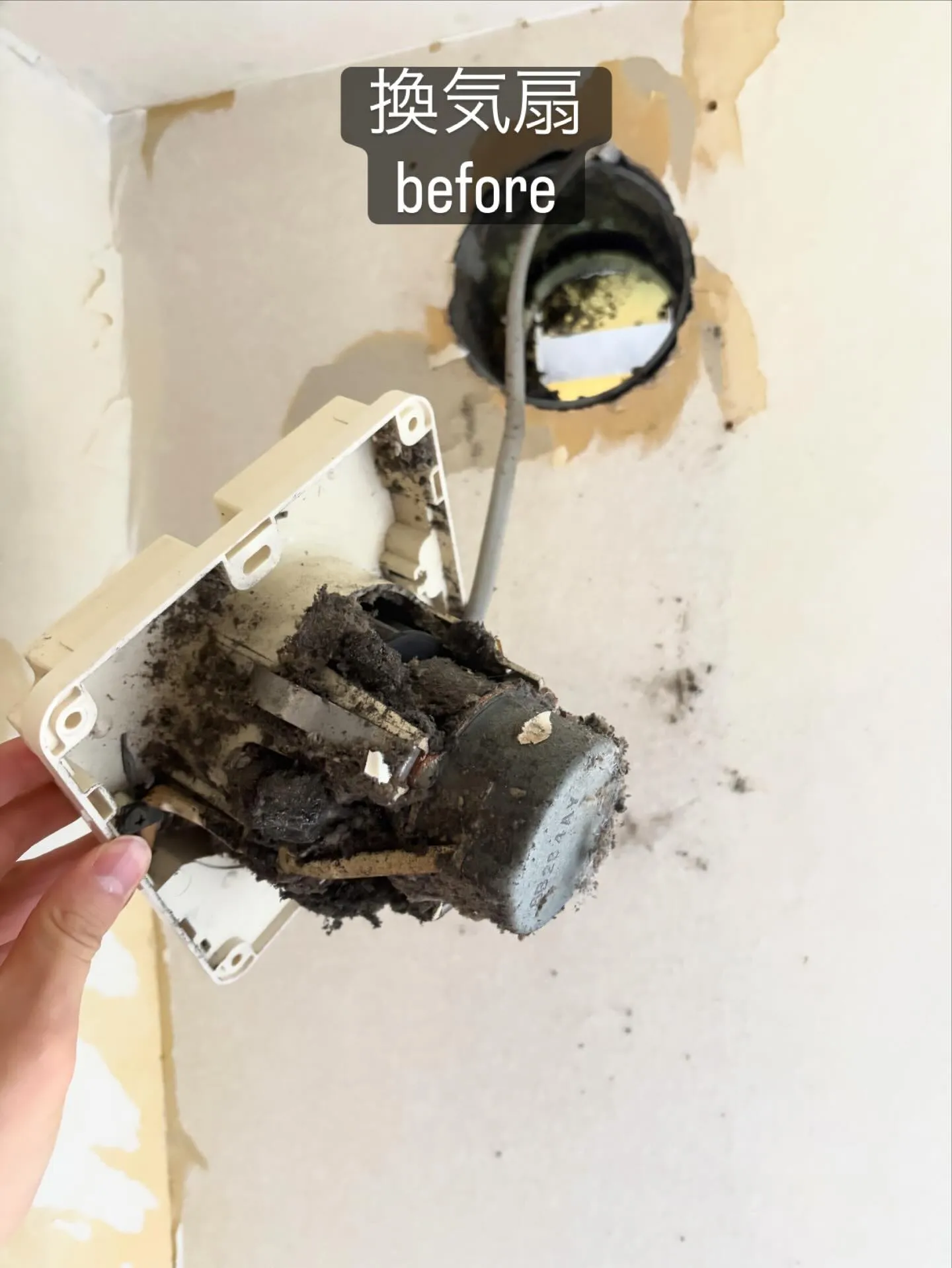 S様よりトイレの壁紙貼り替えのご依頼をいただきました！